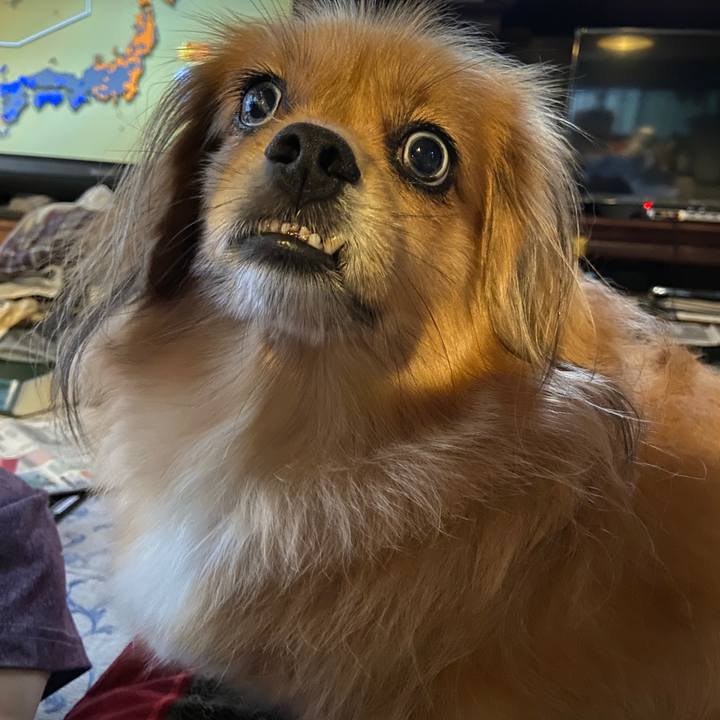 B4c591e9 ddcd 4e49 88af bbaf707b9a10 1630963897916