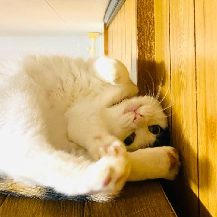 B4c59810 3665 4445 9077 e8d313fdb419 1665100310654