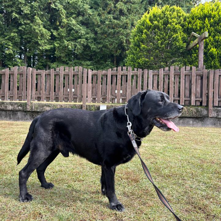 B4c5d477 d116 4268 944b 31a33e12b92a 1762082604190