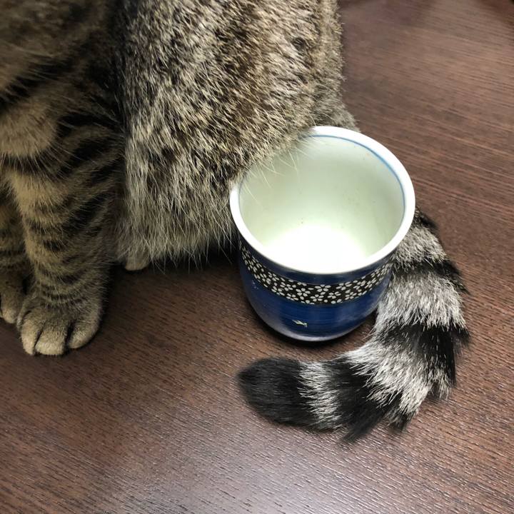 B4c632b0 78ba 444e 9124 91b14bc82ad6 1516693584123