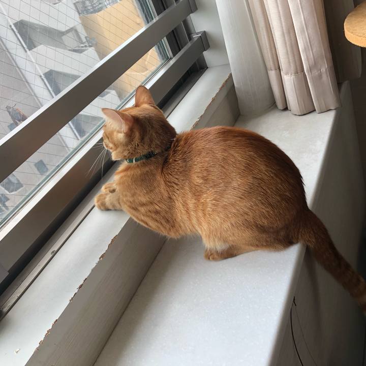 B4c637e5 adae 4ebc b6be 90648dec6a88 1629613122519