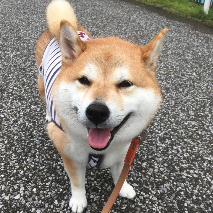 B4c646e7 9f68 4ff5 9cca b3dc9e3c321a 1541395937951