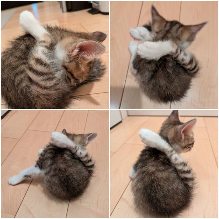 B4c65a1f 8d0e 4494 8099 54b0539a3524 1726814430476