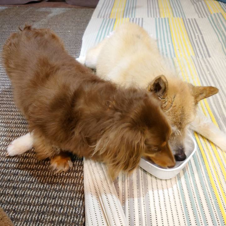 B4c66512 7c01 4307 85ab b9bb09012e78 1654093203571