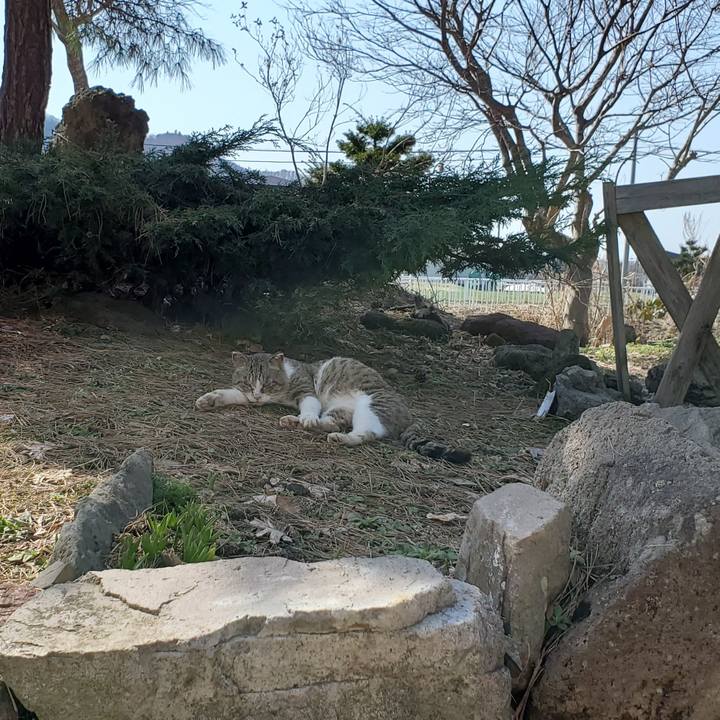 B4c665a7 a63b 4125 ae5d c2d148039b5c 1713237486320