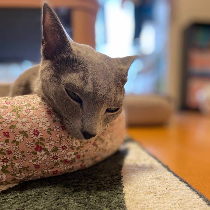 B4c66ae0 c99a 4a0d 9199 81185ecf5a5d 1667713971058