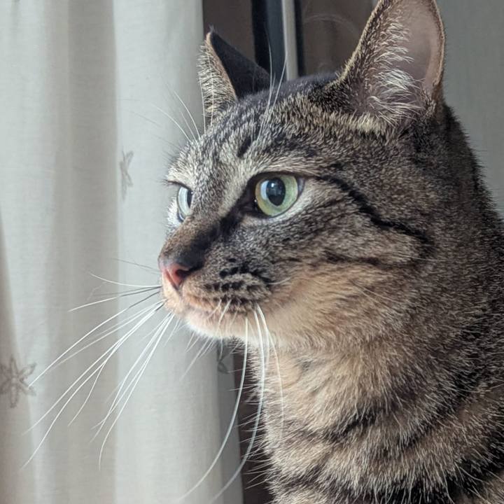 B4c6c725 9b6c 44c2 a68a a1b27ee969bf 1774332920401