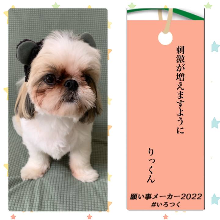 B4c6d426 adf8 474d 8721 4f87c30d60ba 1657203339820