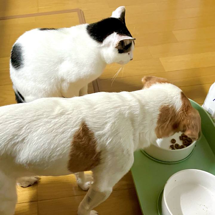 B4c6d964 5b83 427b b955 b922ba239c72 1702040886858