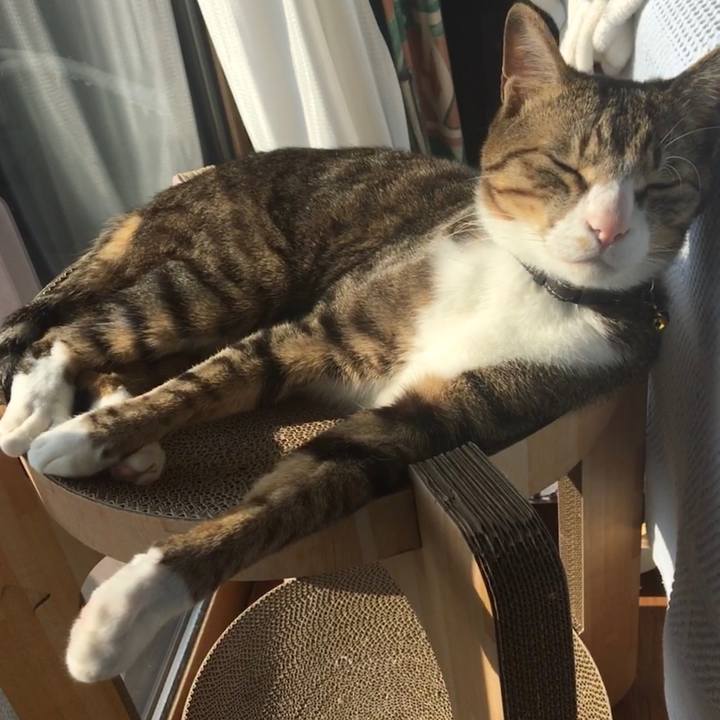 B4c702b9 109c 4285 8bbe 968d5d7380fc 1682985652046