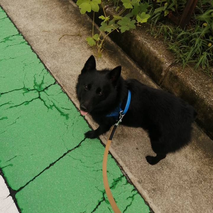 B4c70720 78f7 4914 abd4 3610dc0f4665 1628992967823