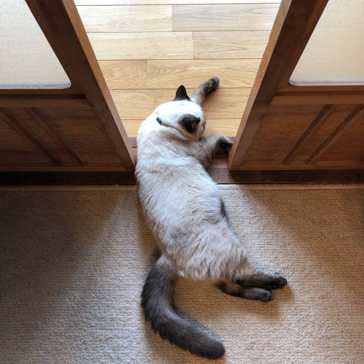 B4c73cf2 fecd 4ea2 9b46 144f55a602b4 1595979848966