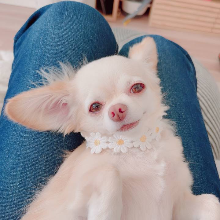 B4c759af 7206 407a 95f3 23f059891a3c 1694748125009