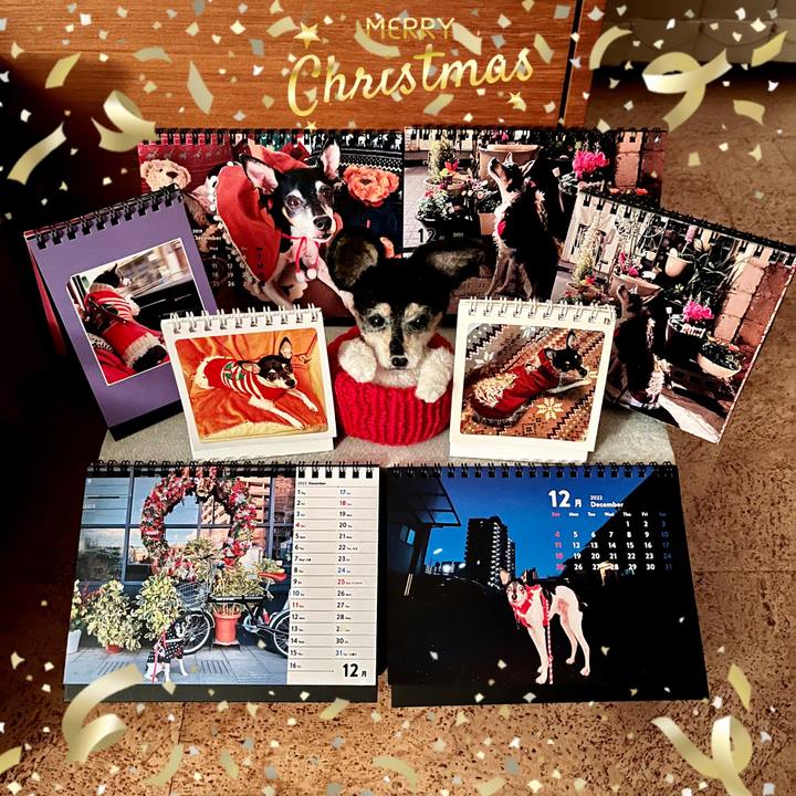 B4c78649 317f 4432 aa4d cf8e9a1fca5b 1671964617357