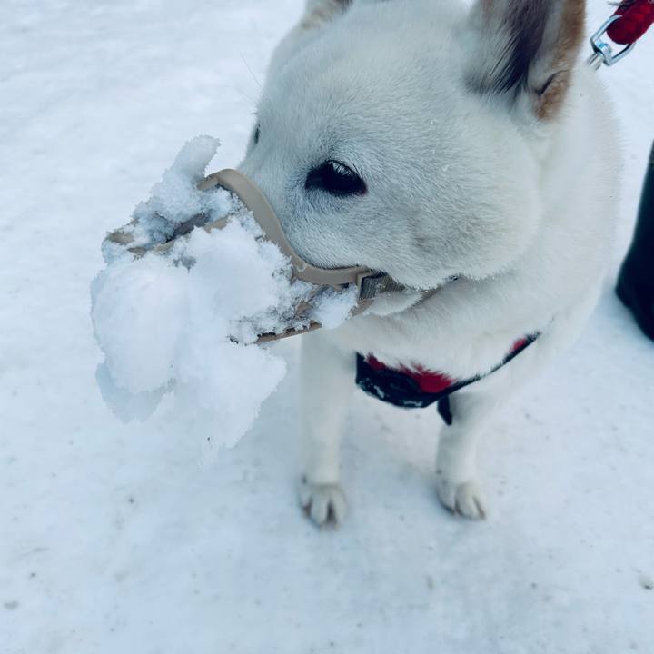 B4c79a27 c091 43b8 8b18 784767f5804d 1707781763599