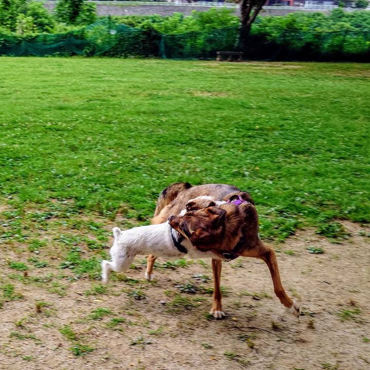 B4c7c4c6 935e 4c9c bcf6 129a6c263e91 1750468710180