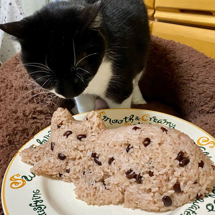 B4c7db02 7fe2 4138 a7d6 d3486cfb3c51 1674566906375