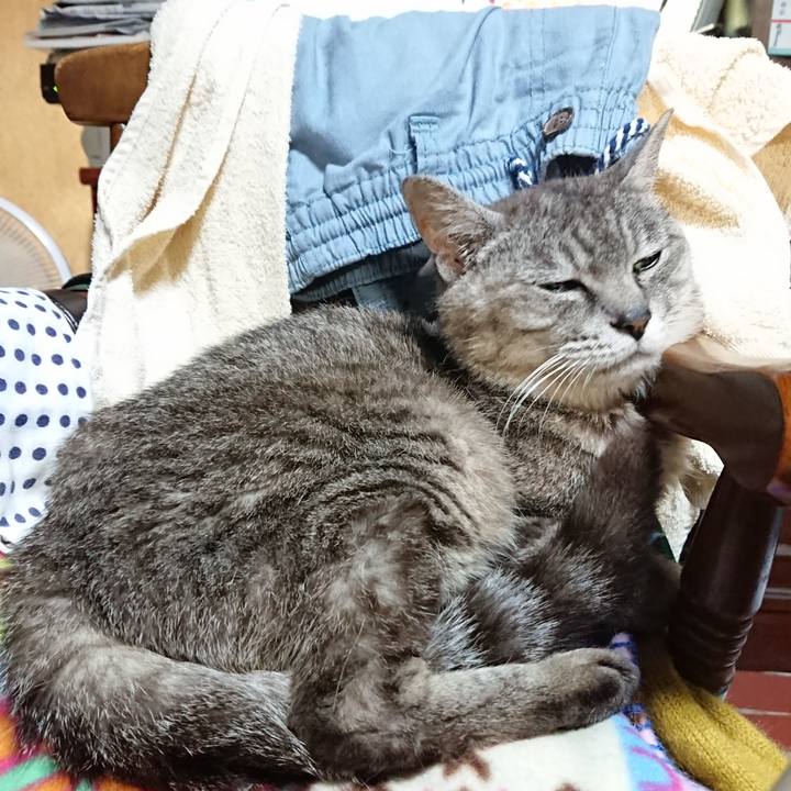 B4c7fc9e 4f01 4b62 a28c c771317f2254 1565786555566