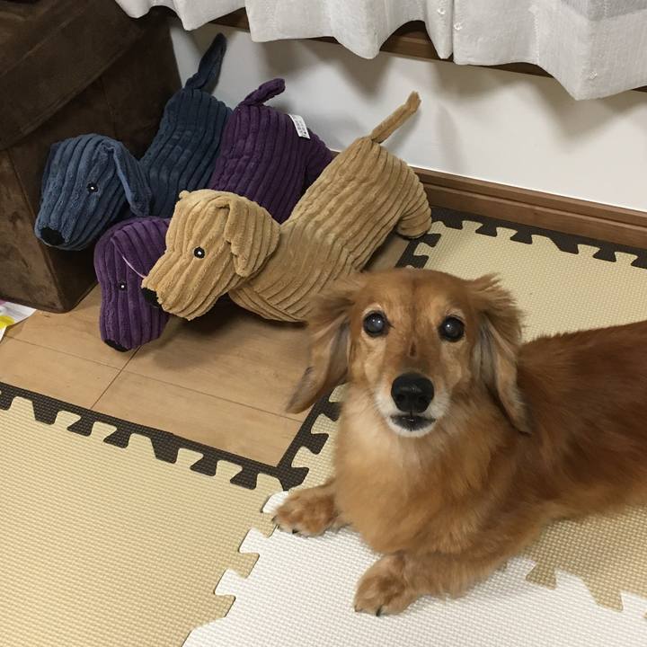 B4c85b96 9346 4991 a6e1 d6b6bfea57ae 1621340680389