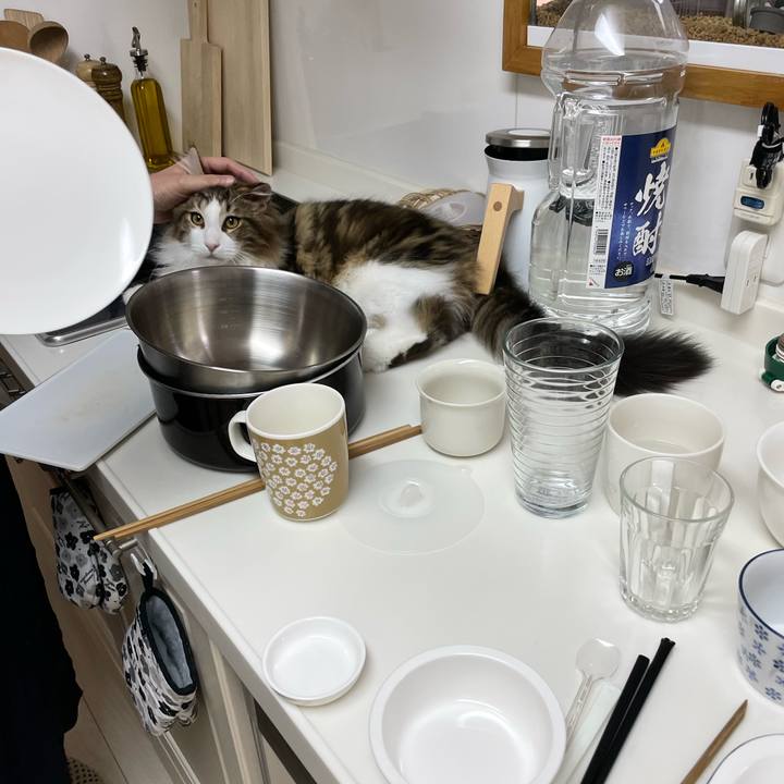 B4c8762d 7d87 470e b987 dba6833740c1 1638562631236