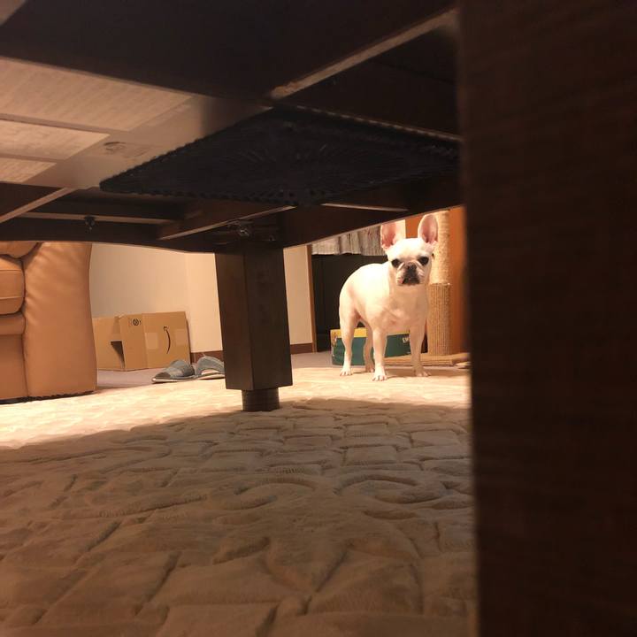 B4c8990e 68ab 4d06 ad2f 119fbcf4b0e4 1571146670047