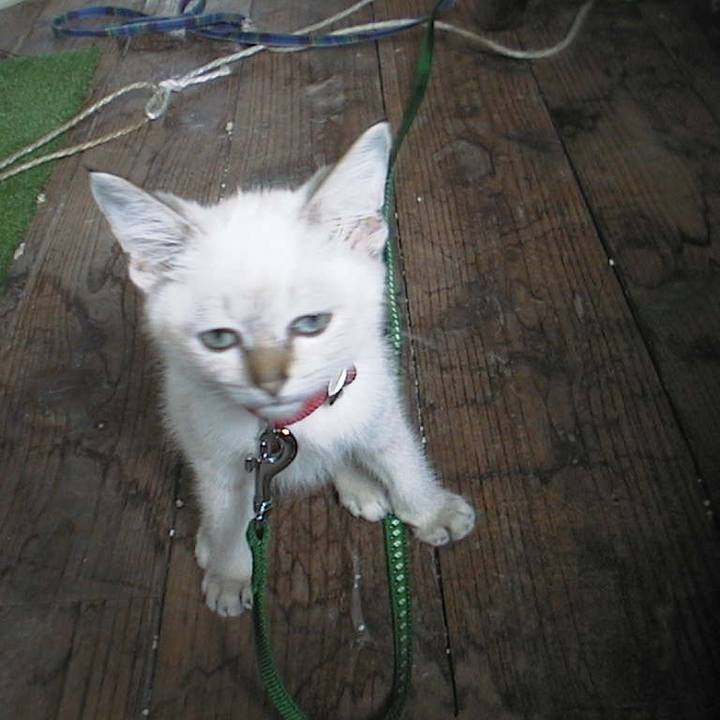 B4c8a7b1 788b 4712 9a2b 12114fdcb660 1616115110910