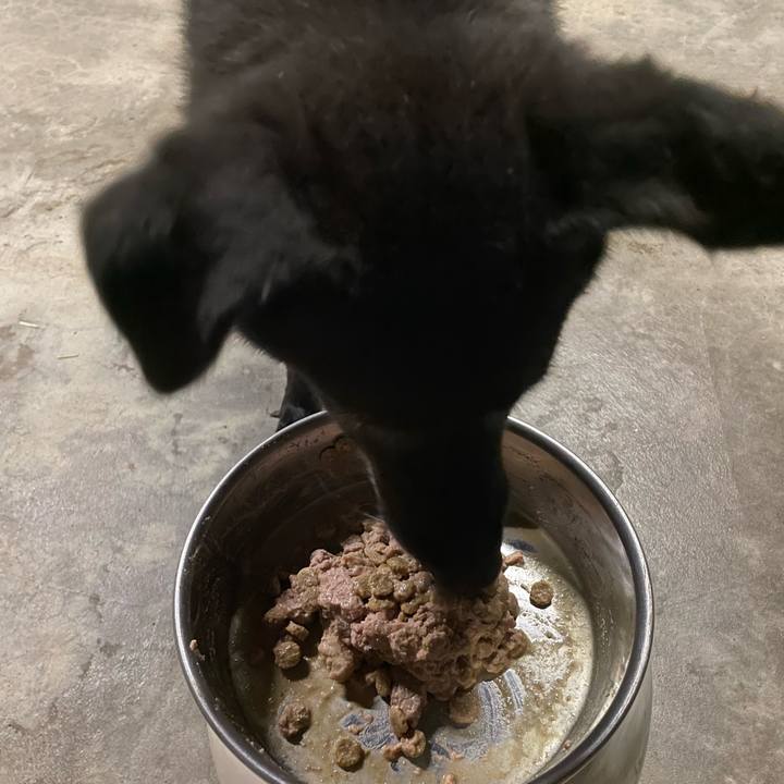 B4c8d94b a8af 4a25 9c8e 0b721813d145 1655318251880