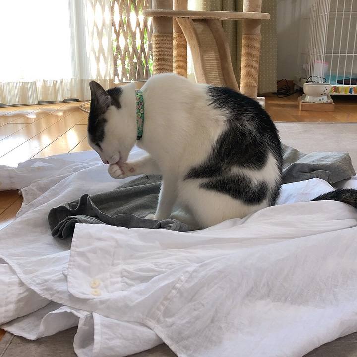 B4c93138 47a7 465d a9d4 e59bcefe8404 1654662301664