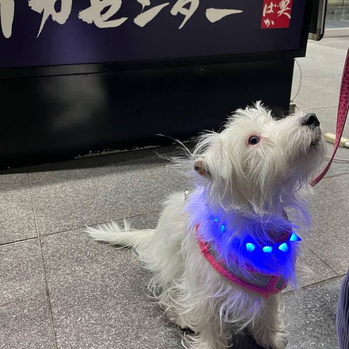 B4c955e2 70ba 4ae1 884b 779def37c429 1749641827486