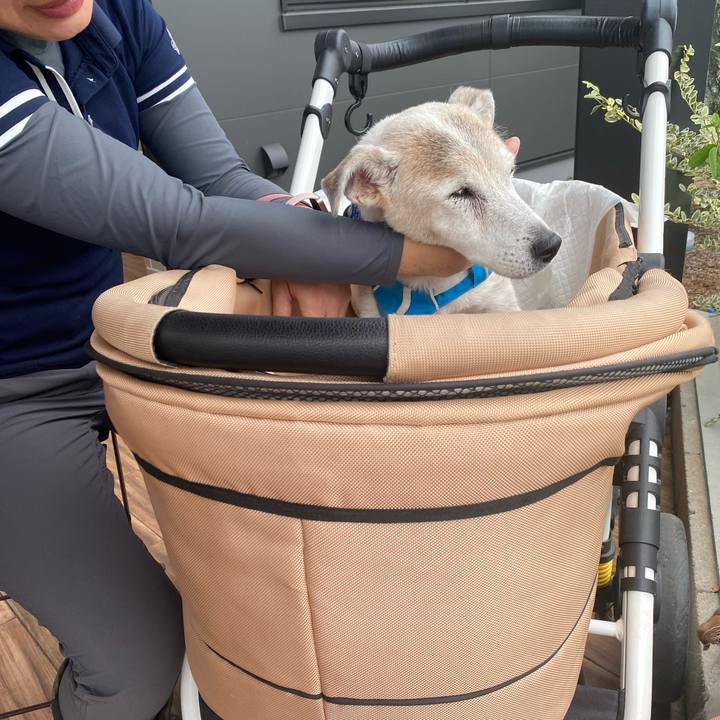 B4c95adf 1431 4322 9a8e 5d2630414bc4 1730009540355