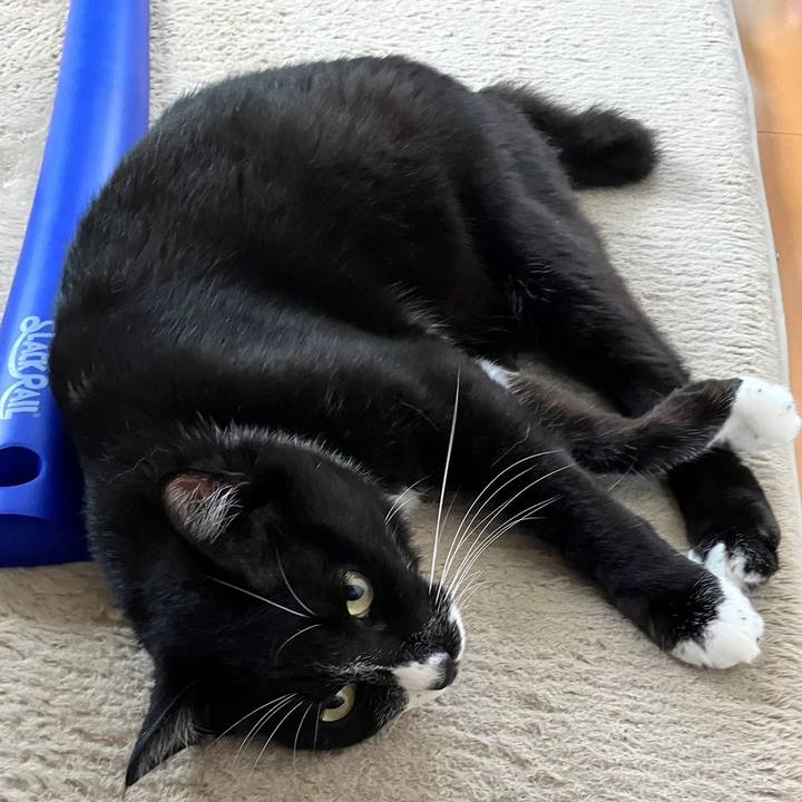 B4c96106 e984 4450 a0ad 4fc5893313a3 1694662344891