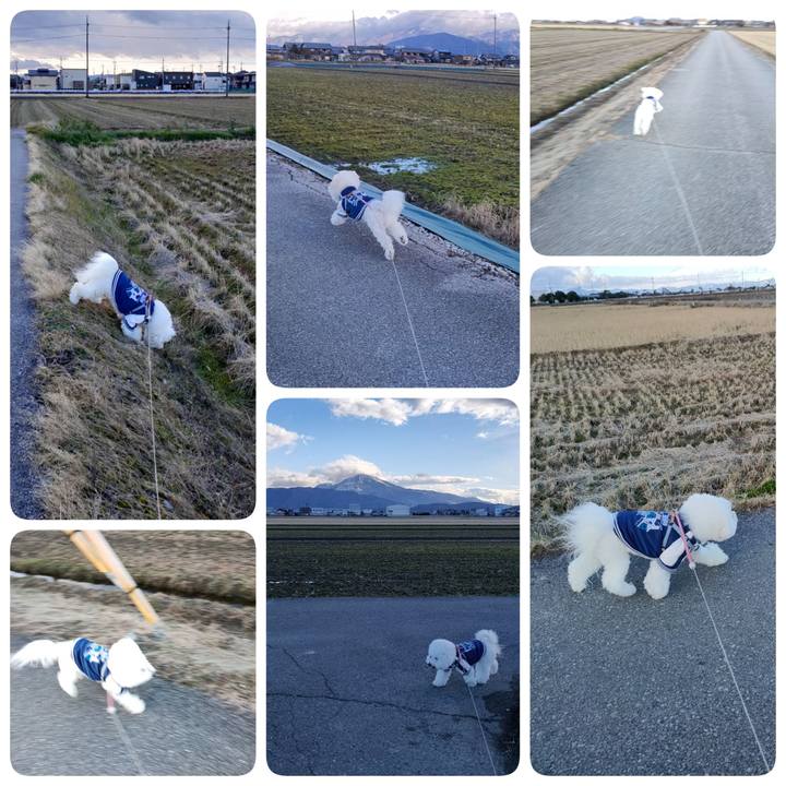 B4c9690e a3a7 42ce a1c0 34c6121a542b 1768132379774