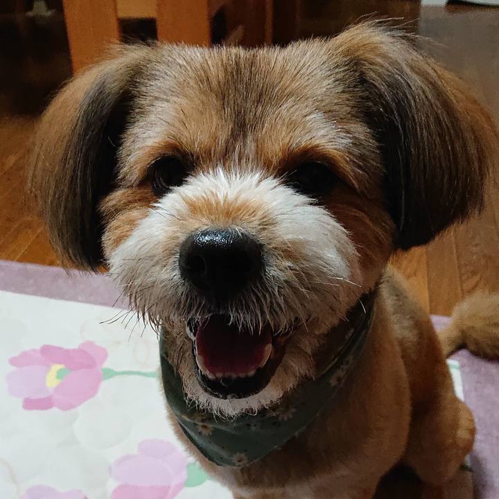 B4c99cbf 07dd 4933 9d3f fc9842fa664c 1561903393504