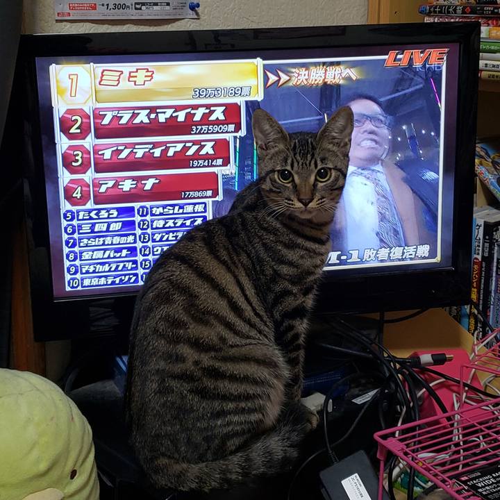 B4c9a69e 4af4 439d 94f2 3450321ea31e 1543745483608