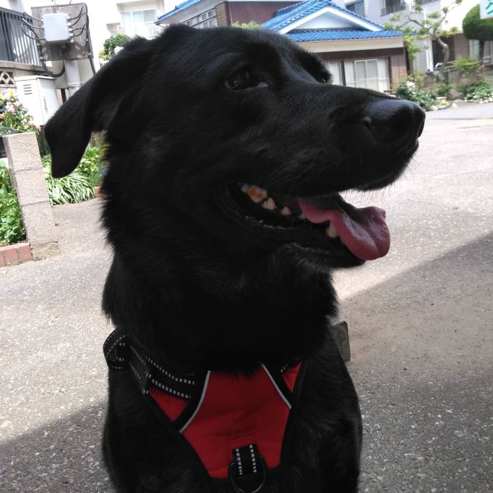 B4c9c91d 98e2 4cfb b490 3ed609d7cb30 1589516422733