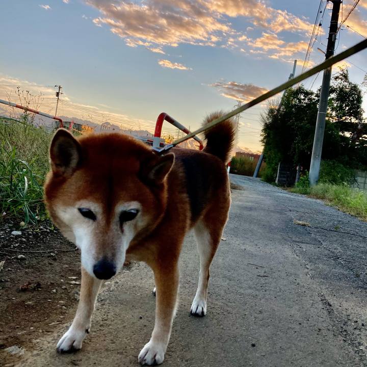 B4c9ea0c cbe4 4ed4 98b4 6debf6119af2 1634727313324