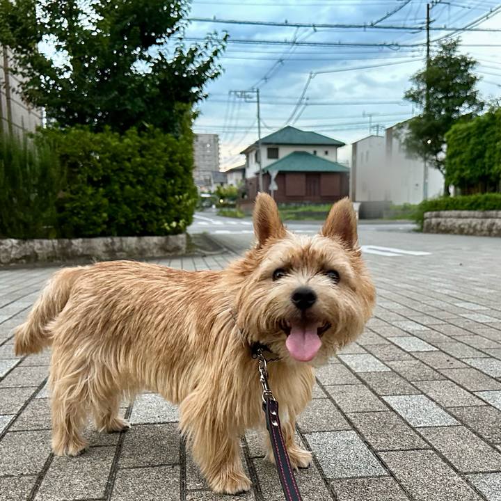 B4ca0c51 f49f 4de6 93e9 e4a2df29eeaa 1755290639534