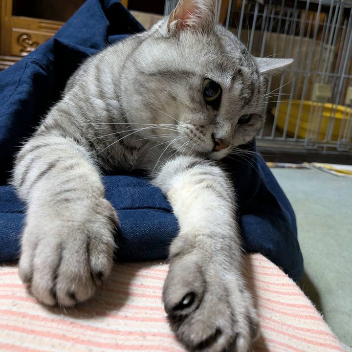 B4ca132e a26c 49d8 87c3 26e7cc9a4bf0 1762773524510