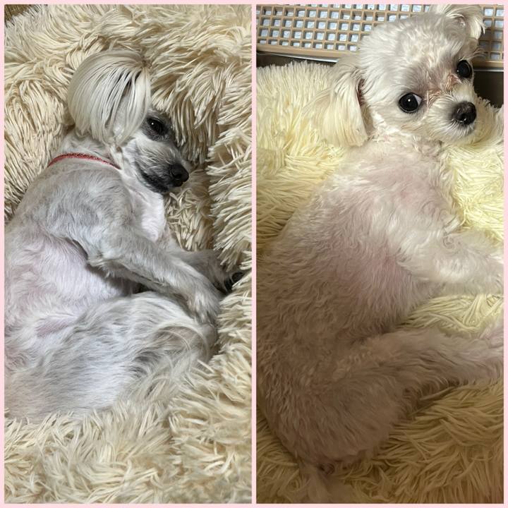 B4ca987a 51ea 457b 86a7 a29fd8a3a5da 1715772997682