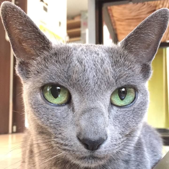 B4cab95f 043e 4d64 be80 962ef61234a6 1511343591917