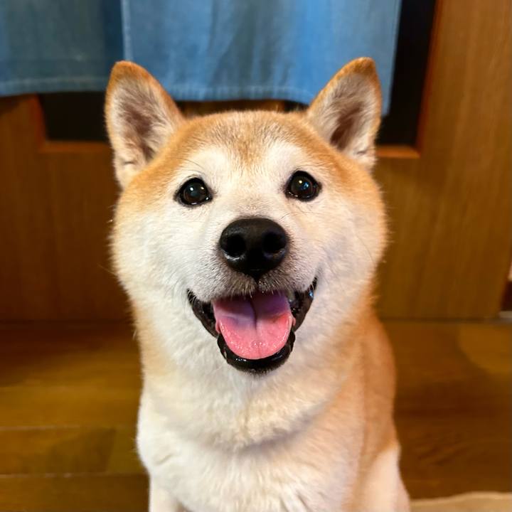 B4cad289 fbe7 469d b510 6653fcce7453 1731410489105