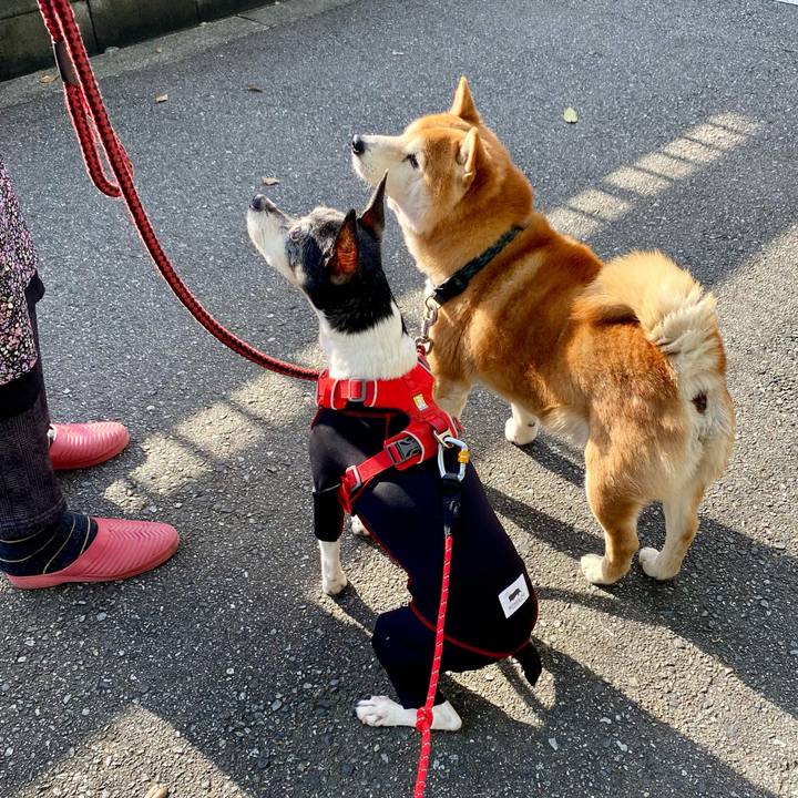 B4cae4c0 7887 471a 9939 687eb5ac24a6 1618713276058