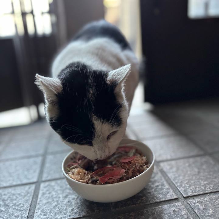 B4cafbdb 60e3 48e2 8bb0 8c12ce5a2634 1765946108007