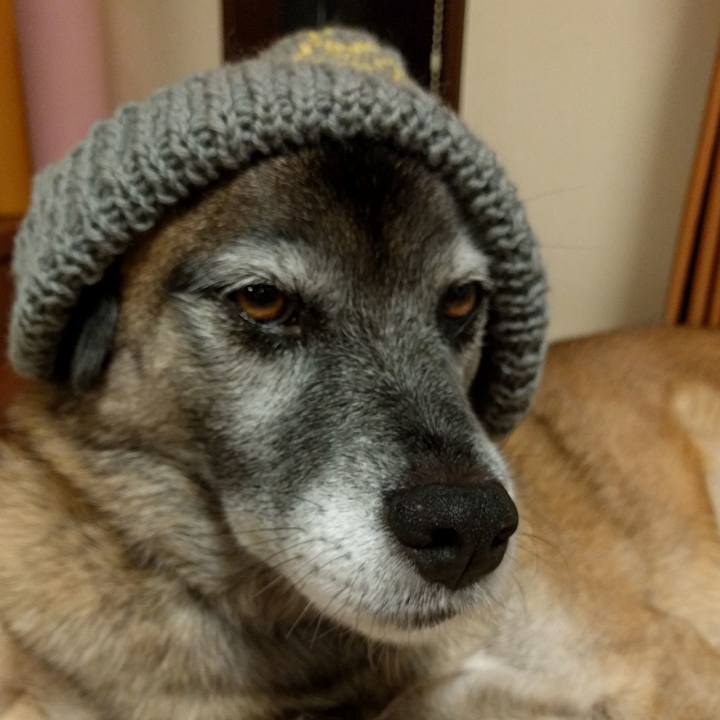 B4cb4023 1b71 4e60 9224 2d3c1c6d4bc0 1508498875325