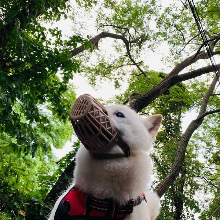 B4cb4bf5 91fb 4ba6 b5c6 85a332b0b8fd 1658695480803