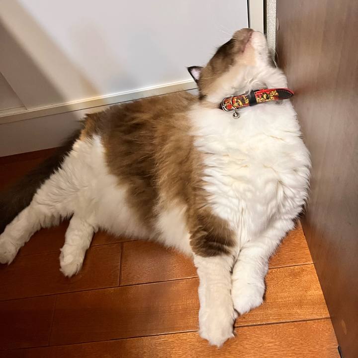 B4cb60c4 81a8 4977 97ee e068ccf97643 1659186746018