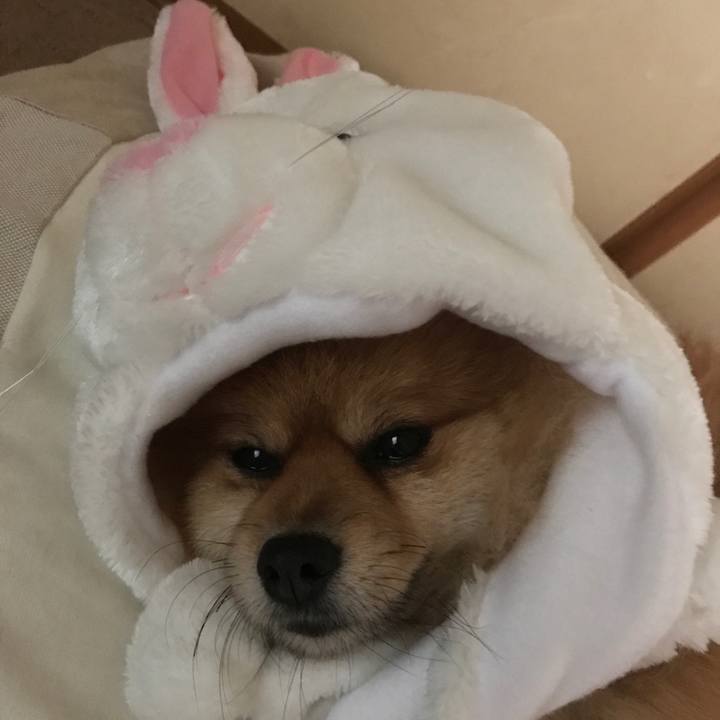 B4cb9481 e811 4d7a 8c15 9f78950f6820 1507757909642