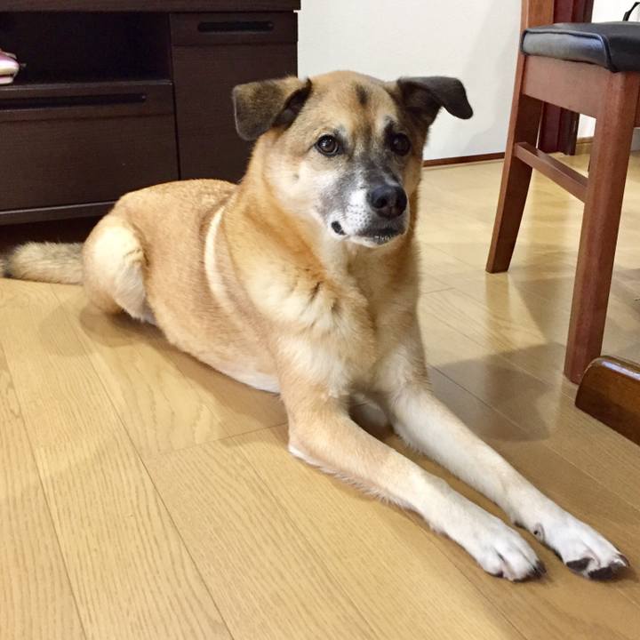 B4cb94a6 d922 46a6 a667 4140c03f627b 1514819906028