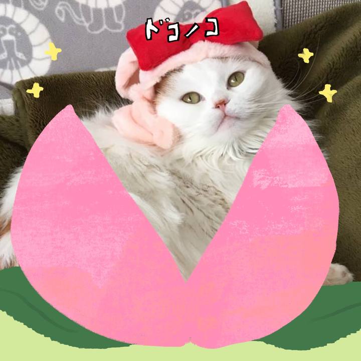 B4cb9e88 0196 4f07 b976 8c98714f3668 1772264383051