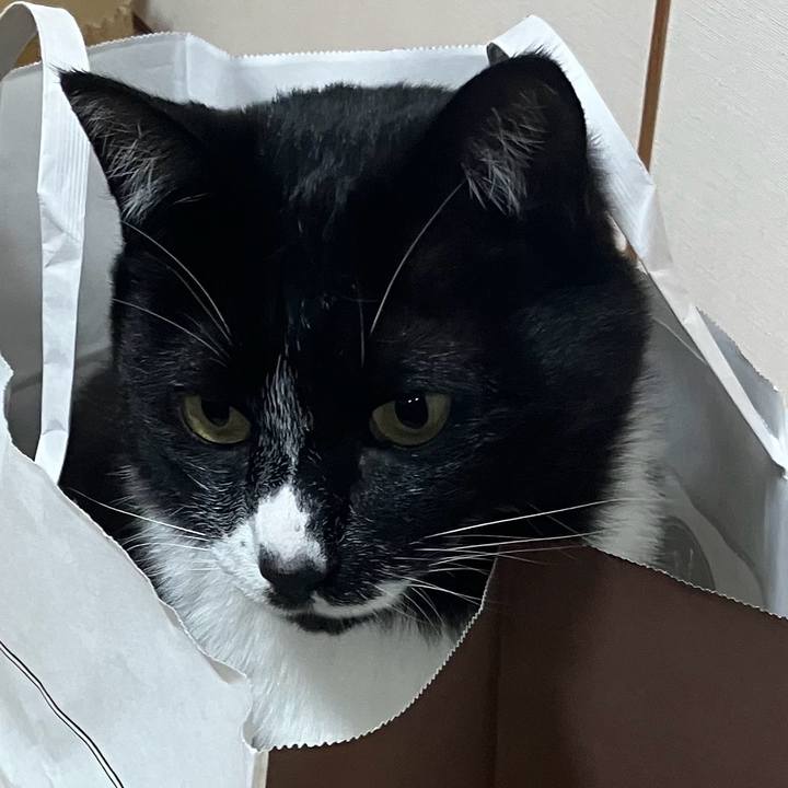 B4cbb191 700f 4904 a02c 5405542fb462 1753680038271